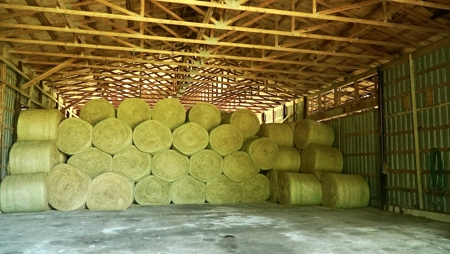 Farm For Sale In Live Oak Florida! - image 30