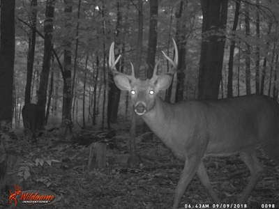 Trophy Whitetail & Wildlife Haven – 217 Acres | 18125 CTH I, Hill - image 46