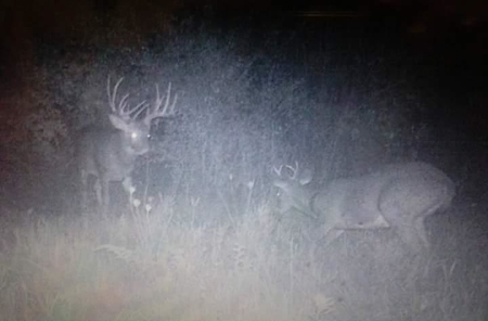 Trophy Whitetail & Wildlife Haven – 217 Acres | 18125 CTH I, Hill - image 47
