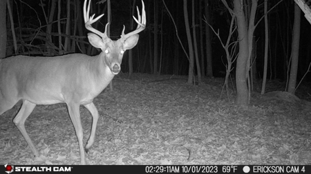 Trophy Whitetail & Wildlife Haven – 217 Acres | 18125 CTH I, Hill - image 49