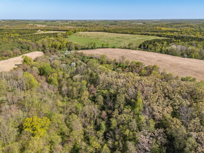 Trophy Whitetail & Wildlife Haven – 217 Acres | 18125 CTH I, Hill - image 32