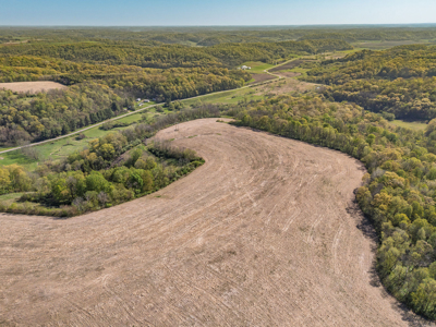 Trophy Whitetail & Wildlife Haven – 217 Acres | 18125 CTH I, Hill - image 26