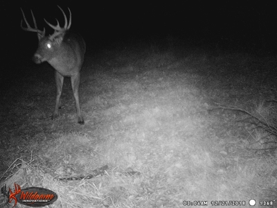 Trophy Whitetail & Wildlife Haven – 217 Acres | 18125 CTH I, Hill - image 41