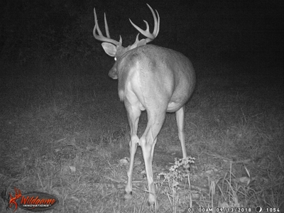 Trophy Whitetail & Wildlife Haven – 217 Acres | 18125 CTH I, Hill - image 43
