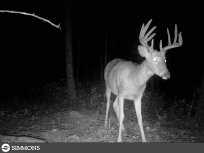 Trophy Whitetail & Wildlife Haven – 217 Acres | 18125 CTH I, Hill - image 50