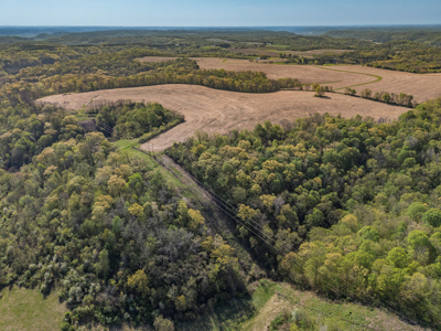 Trophy Whitetail & Wildlife Haven – 217 Acres | 18125 CTH I, Hill - image 24