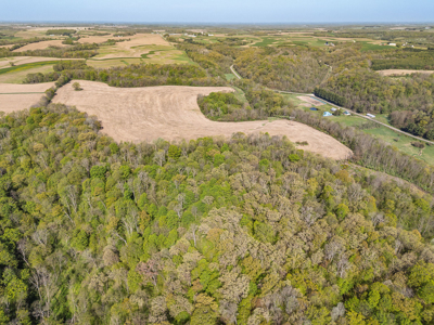 Trophy Whitetail & Wildlife Haven – 217 Acres | 18125 CTH I, Hill - image 27