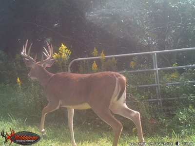 Trophy Whitetail & Wildlife Haven – 217 Acres | 18125 CTH I, Hill - image 42
