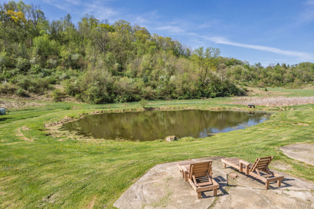 Trophy Whitetail & Wildlife Haven – 217 Acres | 18125 CTH I, Hill - image 19