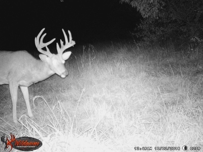 Trophy Whitetail & Wildlife Haven – 217 Acres | 18125 CTH I, Hill - image 44