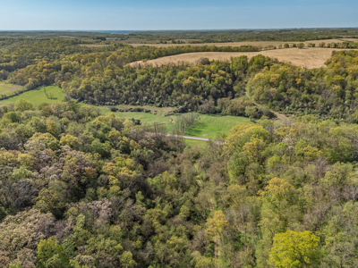 Trophy Whitetail & Wildlife Haven – 217 Acres | 18125 CTH I, Hill - image 29