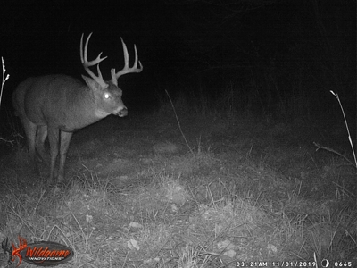 Trophy Whitetail & Wildlife Haven – 217 Acres | 18125 CTH I, Hill - image 40