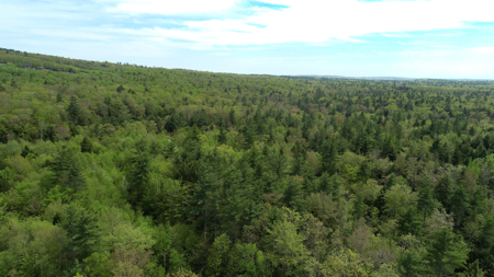 104± Acre Parcel in North Berwick - image 3