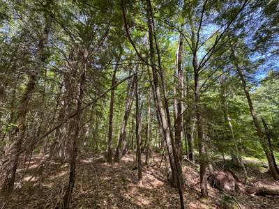 104± Acre Parcel in North Berwick - image 11