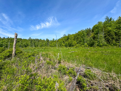 104± Acre Parcel in North Berwick - image 28