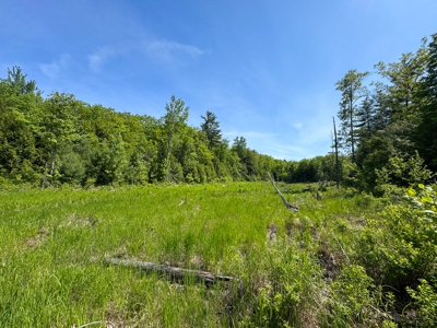104± Acre Parcel in North Berwick - image 29