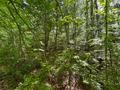 104± Acre Parcel in North Berwick - image 17