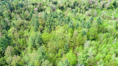 104± Acre Parcel in North Berwick - image 6