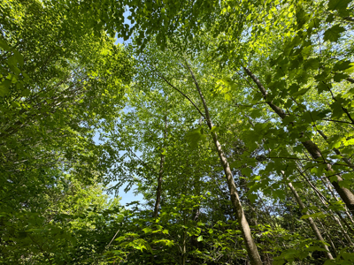 104± Acre Parcel in North Berwick - image 27