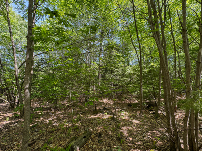 104± Acre Parcel in North Berwick - image 24