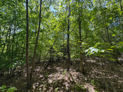 104± Acre Parcel in North Berwick - image 23