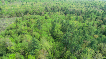 104± Acre Parcel in North Berwick - image 7