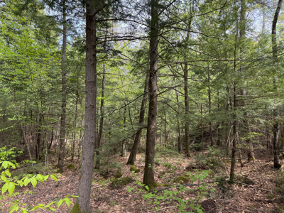 104± Acre Parcel in North Berwick - image 15