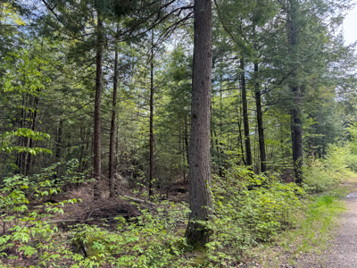104± Acre Parcel in North Berwick - image 11