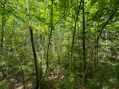 104± Acre Parcel in North Berwick - image 16