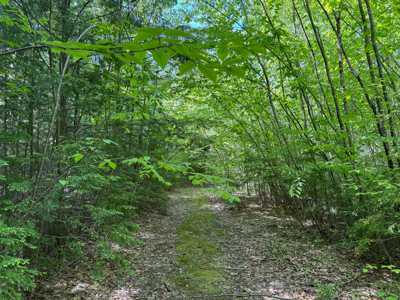 104± Acre Parcel in North Berwick - image 15
