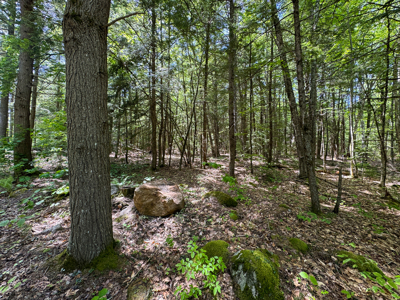 104± Acre Parcel in North Berwick - image 13