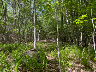 104± Acre Parcel in North Berwick - image 25