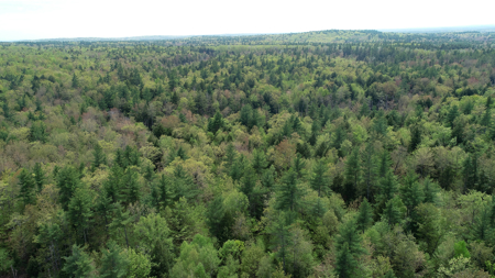 104± Acre Parcel in North Berwick - image 5
