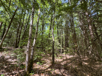 104± Acre Parcel in North Berwick - image 10
