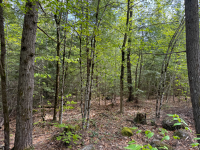 104± Acre Parcel in North Berwick - image 8