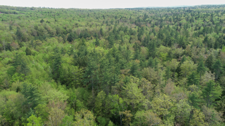 104± Acre Parcel in North Berwick - image 2