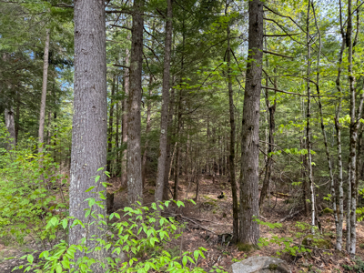 104± Acre Parcel in North Berwick - image 9