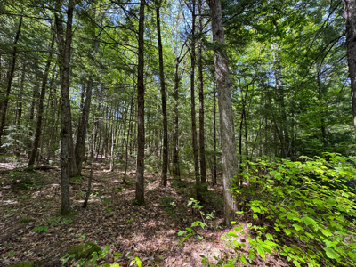 104± Acre Parcel in North Berwick - image 14