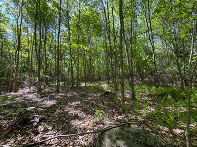 104± Acre Parcel in North Berwick - image 26