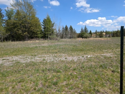 Vacant Commercial Lot For Sale — Village of Hillman, MI - image 4