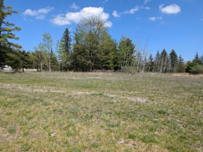 Vacant Commercial Lot For Sale — Village of Hillman, MI - image 3