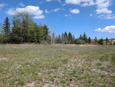Vacant Commercial Lot For Sale — Village of Hillman, MI - image 1