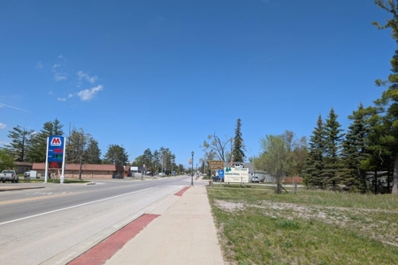 Vacant Commercial Lot For Sale — Village of Hillman, MI - image 8