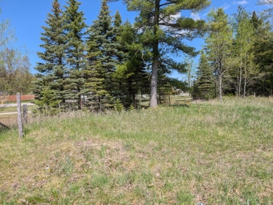 Vacant Commercial Lot For Sale — Village of Hillman, MI - image 6