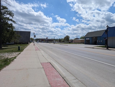 Vacant Commercial Lot For Sale — Village of Hillman, MI - image 7