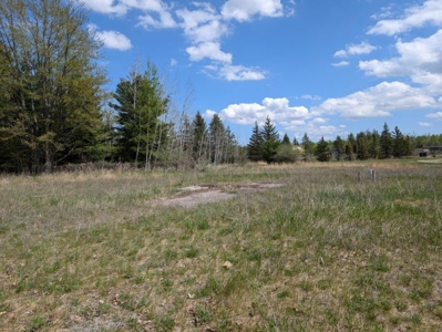 Vacant Commercial Lot For Sale — Village of Hillman, MI - image 5