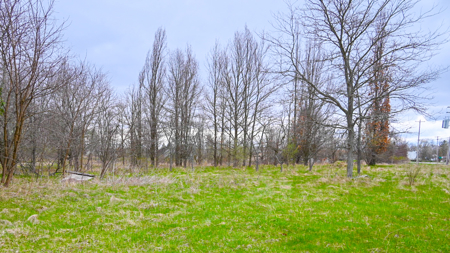 15 Acre Hunting Land in Potterville MI - image 21