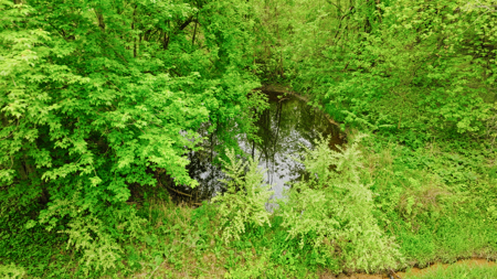 15 Acre Hunting Land in Potterville MI - image 2