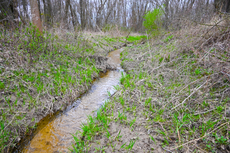 15 Acre Hunting Land in Potterville MI - image 23
