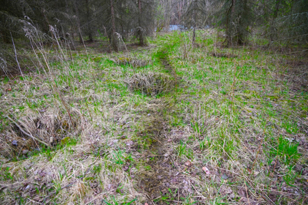 15 Acre Hunting Land in Potterville MI - image 18
